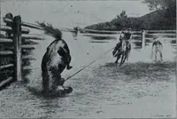 An illustration from Tissus et nouveauts 1902 (1902)