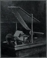 An illustration from Tissus et nouveauts 1902 (1902)