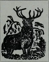 An illustration from Tissus et nouveauts 1902 (1902)