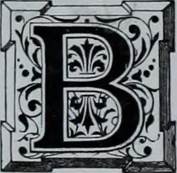 An illustration from Tissus et nouveauts 1903 (1903)