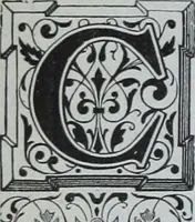 An illustration from Tissus et nouveauts 1903 (1903)