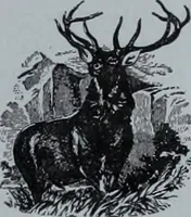 An illustration from Tissus et nouveauts 1903 (1903)