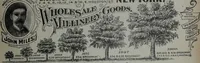 Picture 17 of 532 from Tissus et nouveauts 1904 (1904), leaf 36