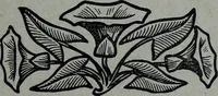 Picture 283 of 532 from Tissus et nouveauts 1904 (1904), leaf 412