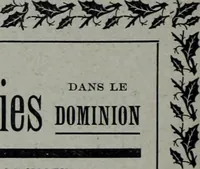 Picture 388 of 532 from Tissus et nouveauts 1904 (1904), leaf 545