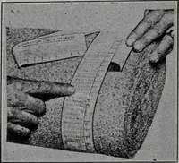 Picture 487 of 532 from Tissus et nouveauts 1904 (1904), leaf 695