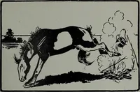 Picture 518 of 532 from Tissus et nouveauts 1904 (1904), leaf 800