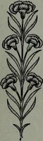 Picture 524 of 532 from Tissus et nouveauts 1904 (1904), leaf 806