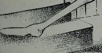 Picture 170 of 484 from Tissus et nouveauts 1905 (1905), leaf 232