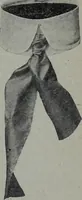 An illustration from Tissus et nouveauts 1905 (1905)