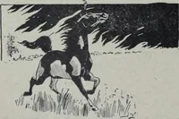 An illustration from Tissus et nouveauts 1905 (1905)