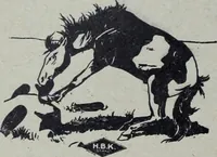 Picture 258 of 484 from Tissus et nouveauts 1905 (1905), leaf 367