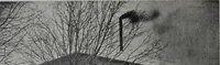 Picture 264 of 484 from Tissus et nouveauts 1905 (1905), leaf 377
