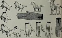 Picture 276 of 484 from Tissus et nouveauts 1905 (1905), leaf 399