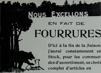 Picture 282 of 484 from Tissus et nouveauts 1905 (1905), leaf 416