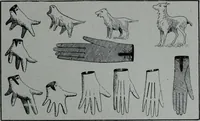 An illustration from Tissus et nouveauts 1905 (1905)