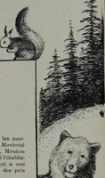 Picture 398 of 484 from Tissus et nouveauts 1905 (1905), leaf 612
