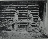 An illustration from Tissus et nouveauts 1906 (1906)