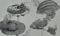 An illustration from Tissus et nouveauts 1906 (1906)