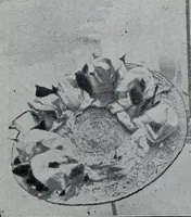 Picture 88 of 478 from Tissus et nouveauts 1906 (1906), leaf 137