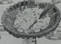 An illustration from Tissus et nouveauts 1906 (1906)
