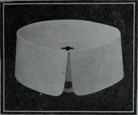 An illustration from Tissus et nouveauts 1906 (1906)