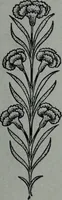 An illustration from Tissus et nouveauts 1906 (1906)