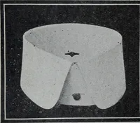 An illustration from Tissus et nouveauts 1906 (1906)