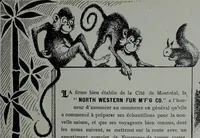 Picture 20 of 478 from Tissus et nouveauts 1906 (1906), leaf 42