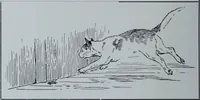 An illustration from Tissus et nouveauts 1906 (1906)
