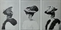 An illustration from Tissus et nouveauts 1906 (1906)