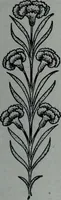An illustration from Tissus et nouveauts 1906 (1906)