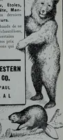 An illustration from Tissus et nouveauts 1906 (1906)