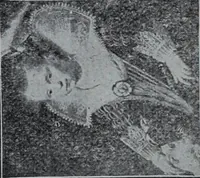 An illustration from Tissus et nouveauts 1907 (1907)