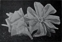 Picture 78 of 480 from Tissus et nouveauts 1907 (1907), leaf 133