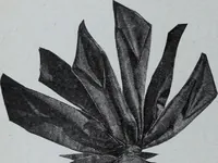 Picture 119 of 480 from Tissus et nouveauts 1907 (1907), leaf 189