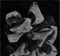 An illustration from Tissus et nouveauts 1907 (1907)