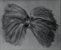 Picture 121 of 480 from Tissus et nouveauts 1907 (1907), leaf 191