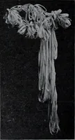 An illustration from Tissus et nouveauts 1907 (1907)