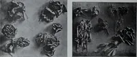 Picture 124 of 480 from Tissus et nouveauts 1907 (1907), leaf 193