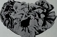 An illustration from Tissus et nouveauts 1907 (1907)