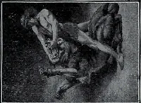 An illustration from Tissus et nouveauts 1907 (1907)