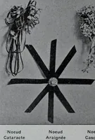 Picture 161 of 480 from Tissus et nouveauts 1907 (1907), leaf 263