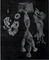An illustration from Tissus et nouveauts 1907 (1907)