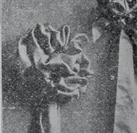 Picture 165 of 480 from Tissus et nouveauts 1907 (1907), leaf 267