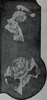 An illustration from Tissus et nouveauts 1907 (1907)