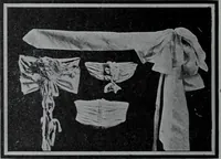 Picture 169 of 480 from Tissus et nouveauts 1907 (1907), leaf 269