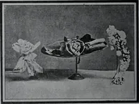 An illustration from Tissus et nouveauts 1907 (1907)