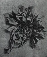 An illustration from Tissus et nouveauts 1907 (1907)