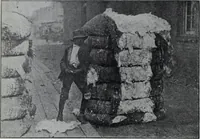 Picture 277 of 480 from Tissus et nouveauts 1907 (1907), leaf 431